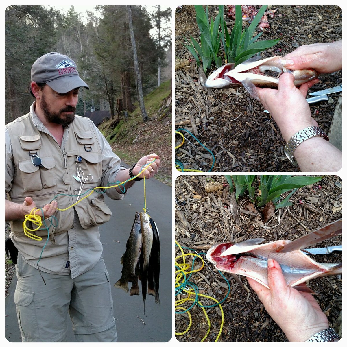 MBNJen's tweet photo. What skills are you learning, practicing & sharing? Hubby & I learned 2 fish & clean them this weekend #PrepperTalk https://t.co/vBsJL4imRj