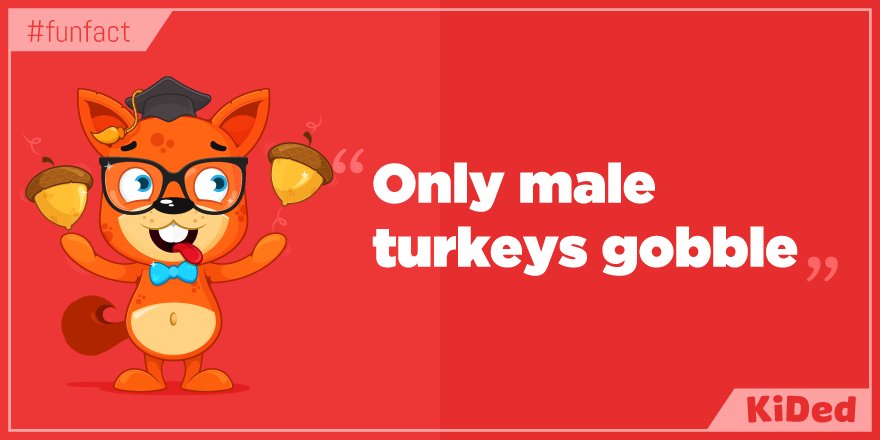 KidED_'s tweet photo. Did You Know? "Only male turkeys gobble" #FunFact https://t.co/TC7xfl11n6