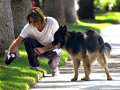 anicolai's tweet image. Clean up after your pets #DoWhatsRightCR