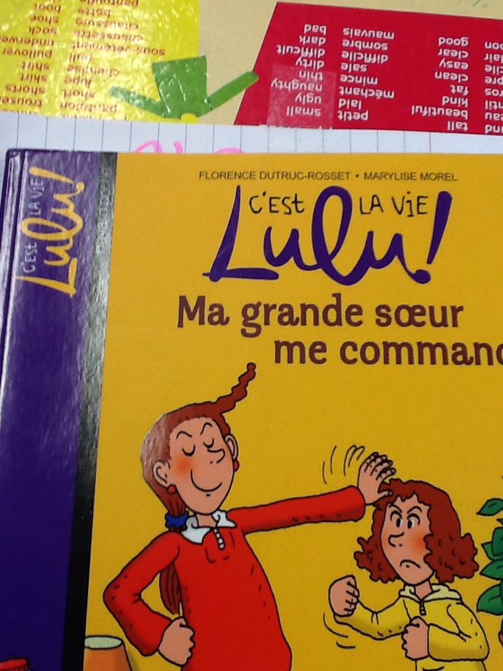 Nous faisons un rallye lecture cette année. Nous devons lire 20 livres. Bientôt le classement. Ninon.