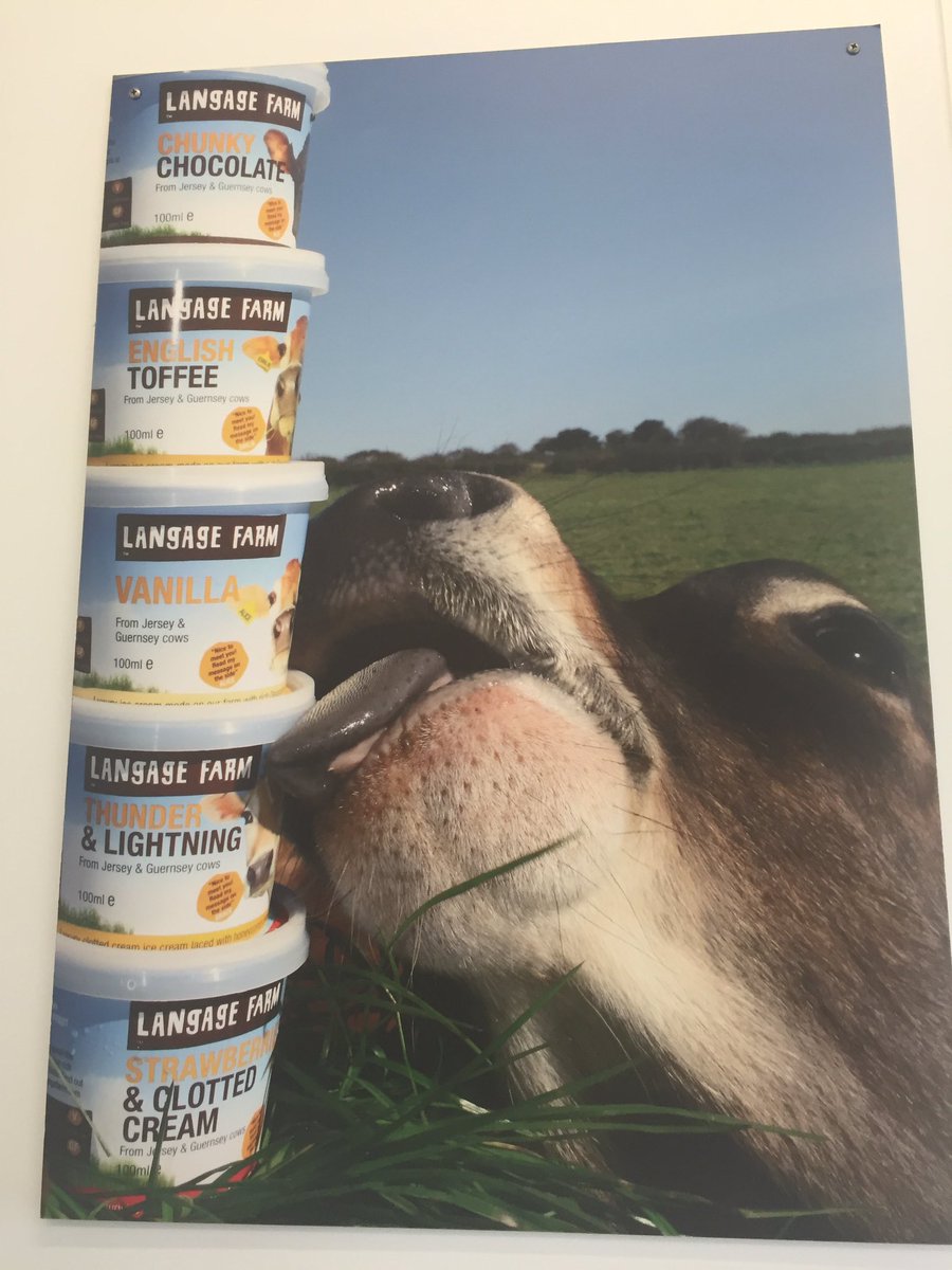 SallyEverton's tweet image. What a fabulous meeting!@langage_farm - discussing views on export possibilities #UAE #USA #besticecream #loveDevon