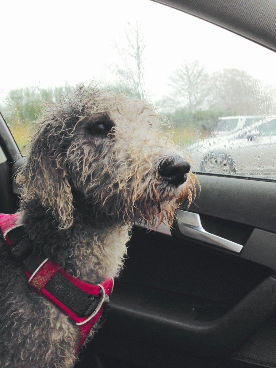 BrambleBeddie's tweet photo. #aprilshowers https://t.co/H67eGmYnv4