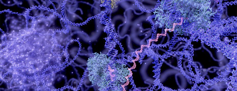 Diabetescouk's tweet photo. NEWS:Analysing genes could predict risk of #Type2Diabetes diabetes, researchers report
https://t.co/9nbkSsnsl0 https://t.co/c6B9o0Em2H