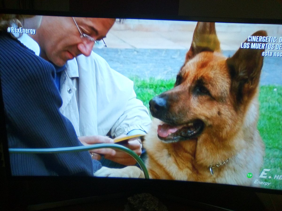 mrylanddm_'s tweet photo. Poner @energy_tv y que estén echando #RexUnPolicíaDiferente #RexEnergy y maneras de emocionarse.. #LoveRex 😉❤ https://t.co/daNfjNG5t0