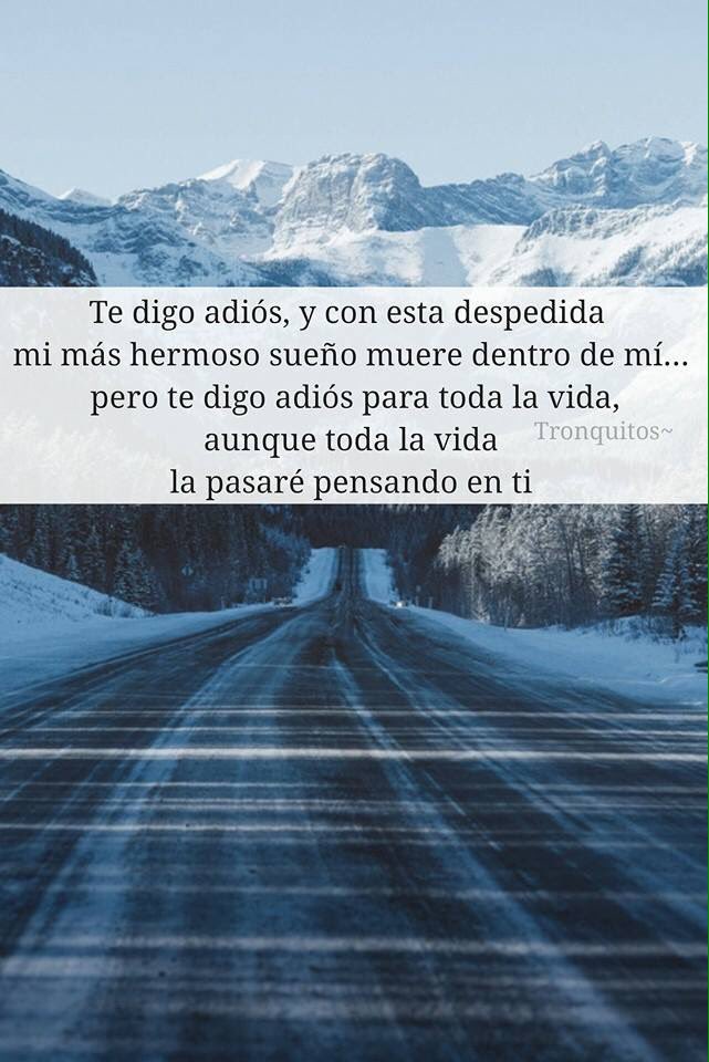 lorea_lorena tweet picture