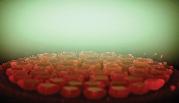 Scio Diamond tweet media