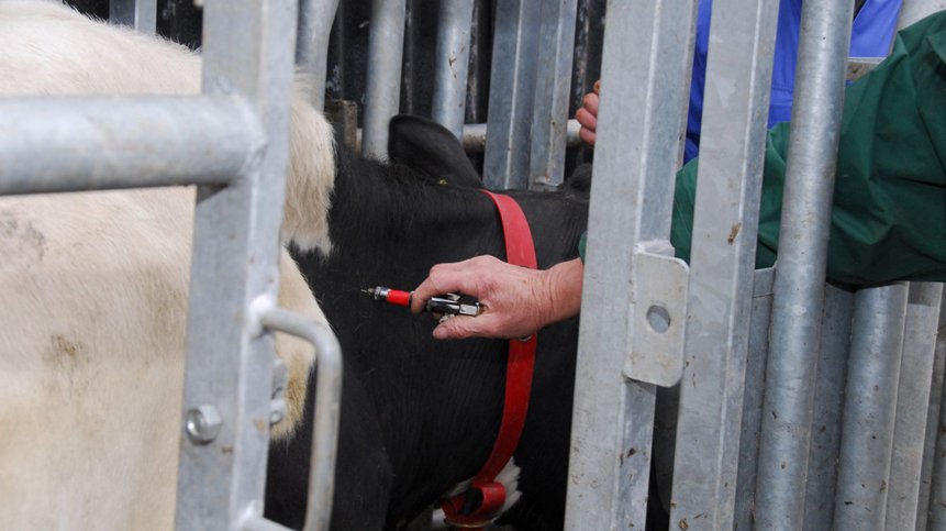 FarmersGuardian's tweet photo. Are you prepared for the changes to #bTB cattle controls this week?

https://t.co/W12FaPyqqG https://t.co/epI2myCjeQ