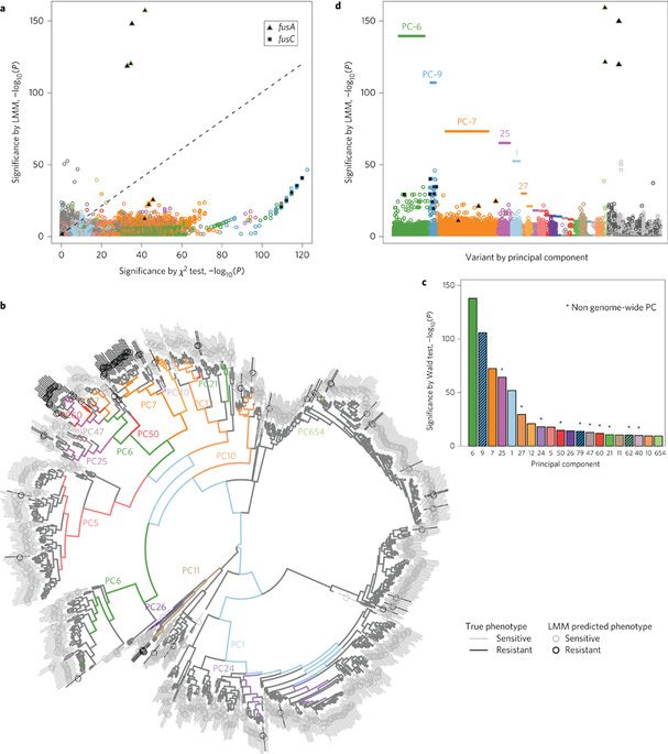 SGEarle's tweet photo. Happy to see our paper out! Identifying lineage effects improves power in bacterial GWAS  https://t.co/ARIEqMjfjZ https://t.co/jL7WZtmtpW