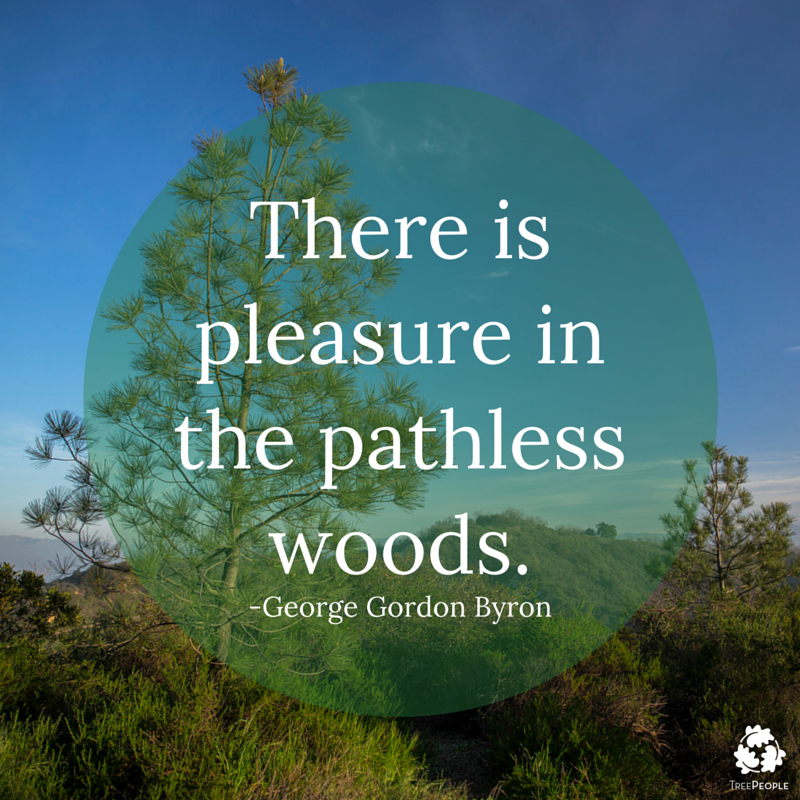 TreePeople_org's tweet photo. Don’t be afraid to wander.  #MotivationMonday https://t.co/5u5NEL8Wg7