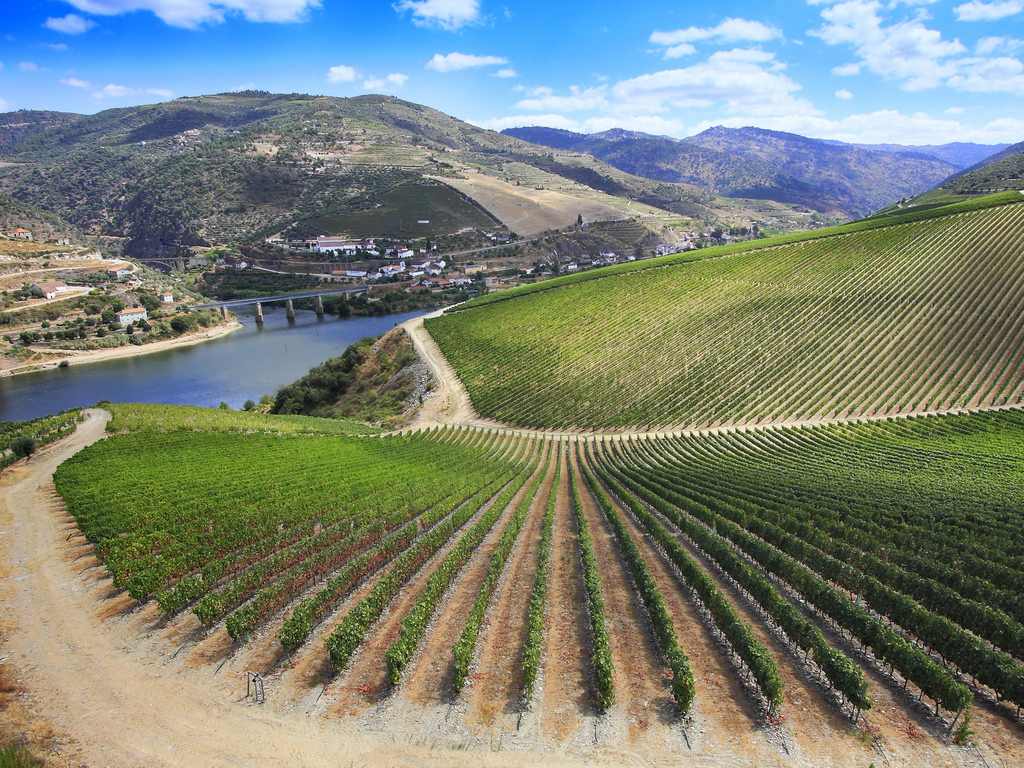 wineinline's tweet photo. VAMOS A HABLAR DE LA D.O. RIBERA DEL DUERO
Historia y Cultura
https://t.co/sLjaHD4pwM https://t.co/3dwl0ZPILf