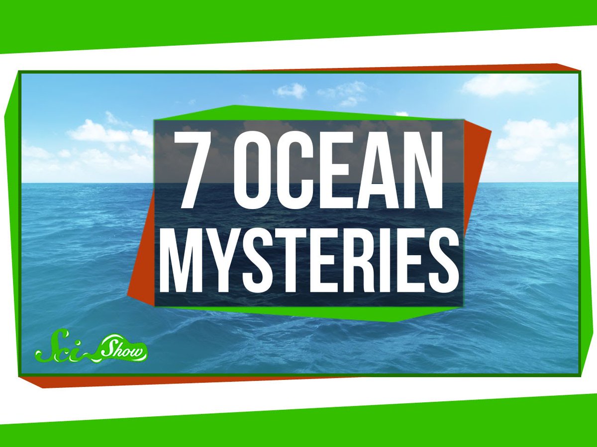 SciShow's tweet photo. The ocean is real big, and there are lots of things we just do not know about it. https://t.co/scQTsq6twy https://t.co/ZLV0LA3RnB