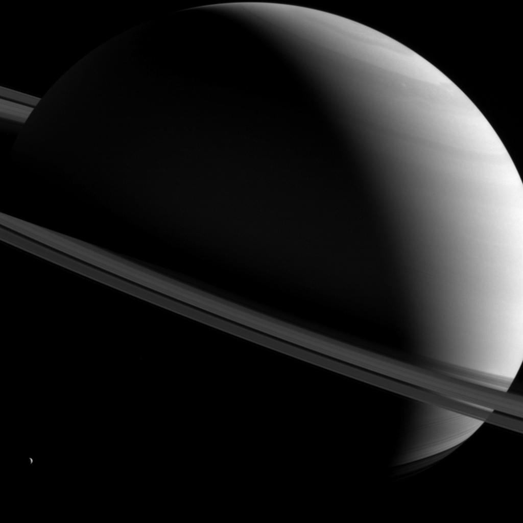 DioScience tweet picture