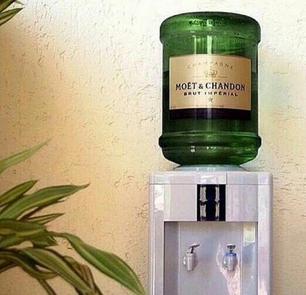 CataloMx's tweet photo. Llegar a trabajar y encontrarse son esto #asisi #felizlunes #vino #vinoadomicilio #polanco… https://t.co/qHekTtvAwL https://t.co/PS2mKnmnQr