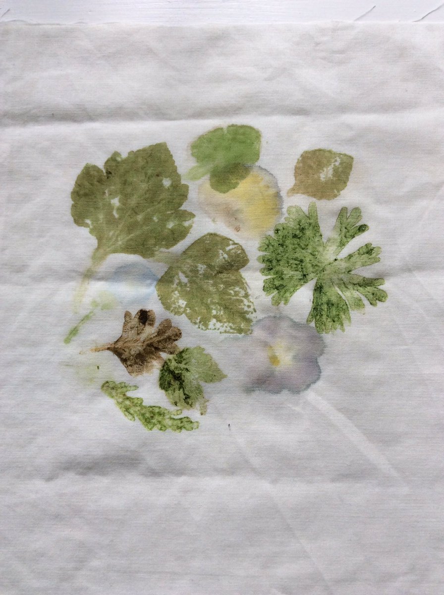 DesignDais's tweet image. #HapaZome printing- 'leaf dye' in #Japanese. colours gradually fade but could use a fixative for greater longevity.