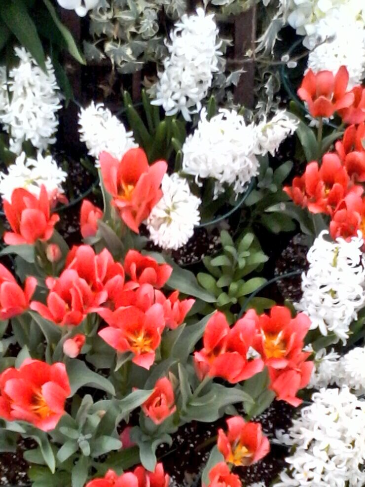 GlobalDoves's tweet image. Every moment is precious.