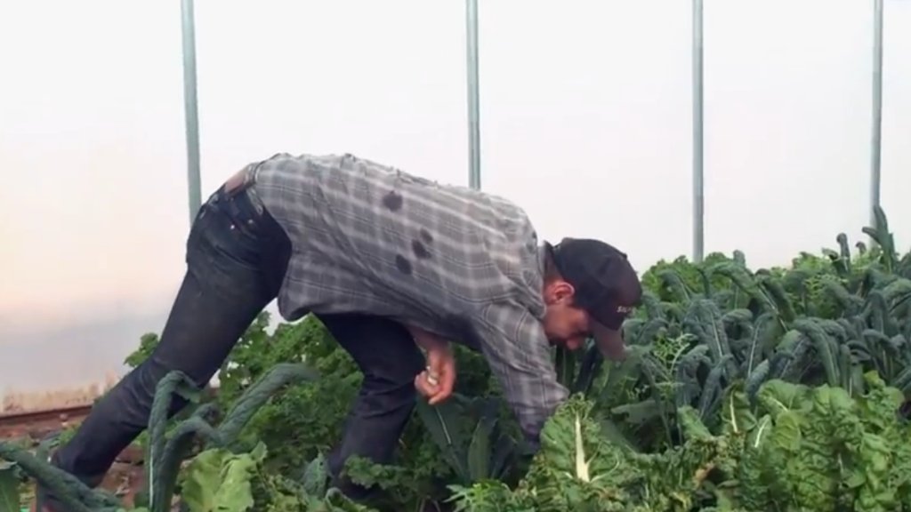 A Recipe for Sustainability bit.ly/1PQyQli Local Farm + Chef #SourceLocal #SantaFeNM #TheCityDifferent