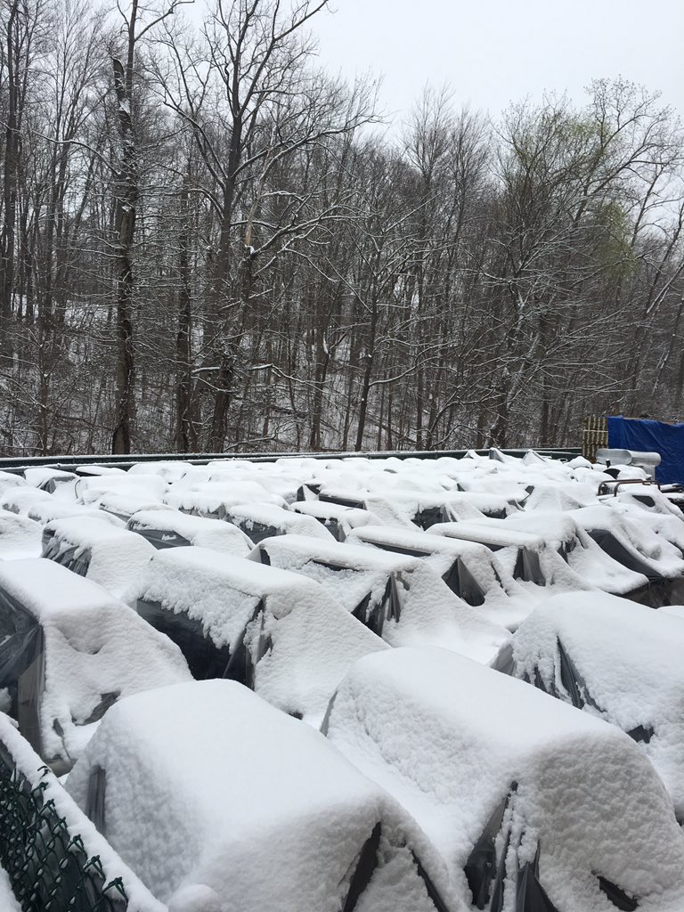 Assembly tweet media