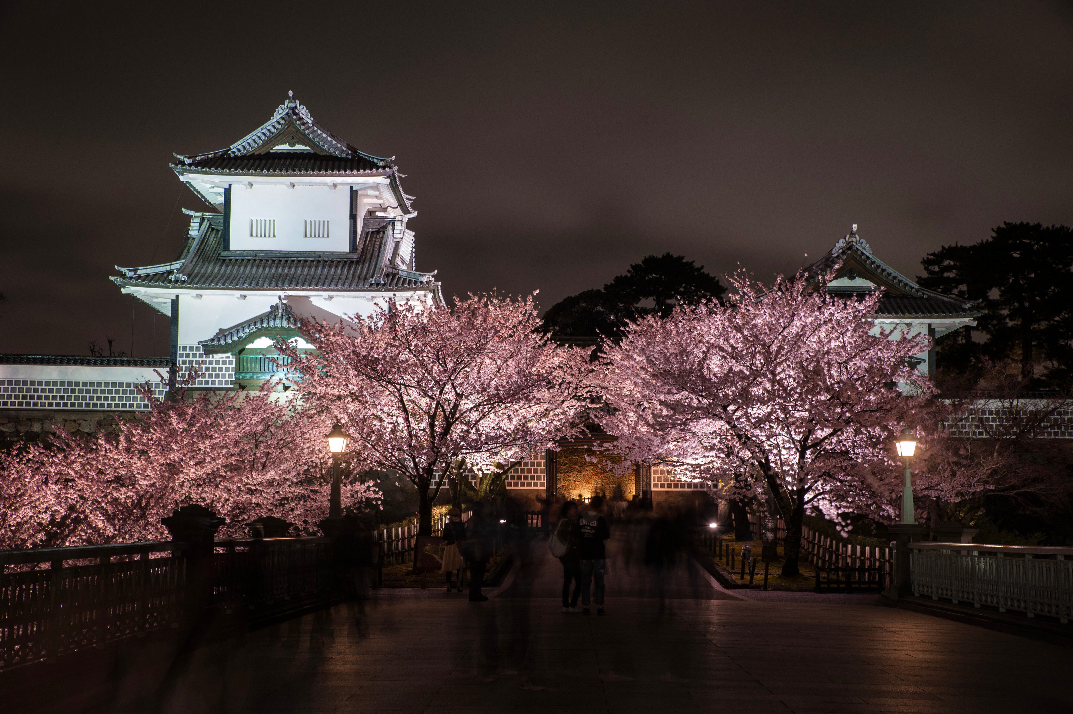 I北陸 イベント 観光地情報 兼六園 金沢城 無料開園と観桜期ライトアップは10日まで開催中 兼六園 金沢城の桜は今週中頃まで見頃です T Co Qqgsfjabmp T Co 57tizbekmq Twitter