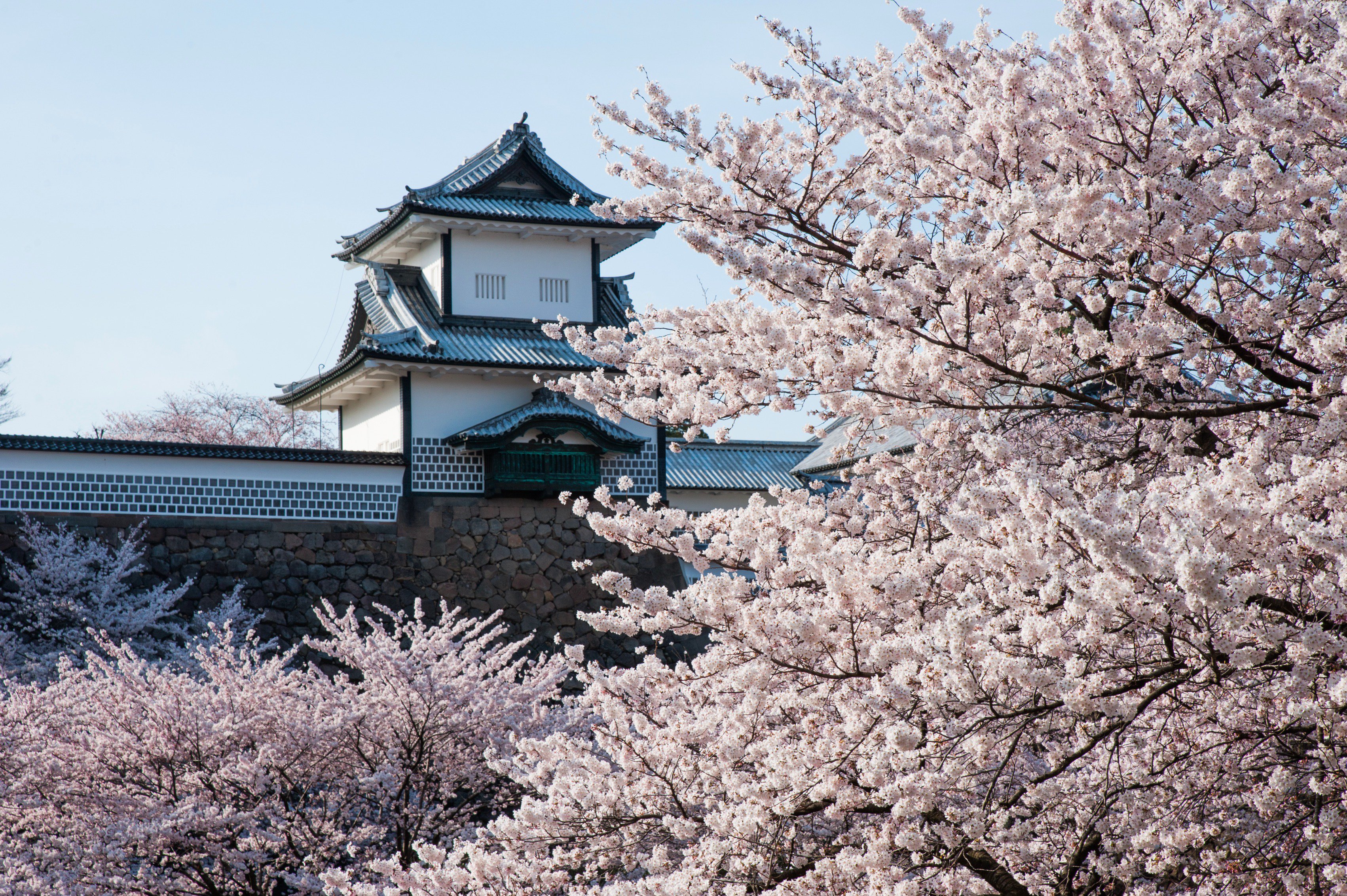 I北陸 イベント 観光地情報 兼六園 金沢城 無料開園と観桜期ライトアップは10日まで開催中 兼六園 金沢城の桜は今週中頃まで見頃です T Co Qqgsfjabmp T Co 57tizbekmq Twitter
