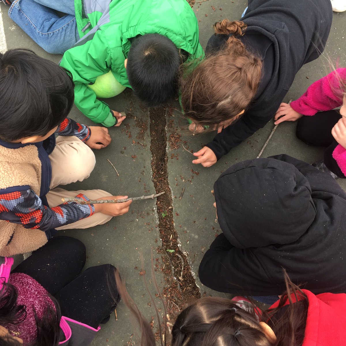 MrsFugate_CES's tweet photo. Worm hunters #learningatrecess #signsofspring #habitats https://t.co/9Px7l6R7mW