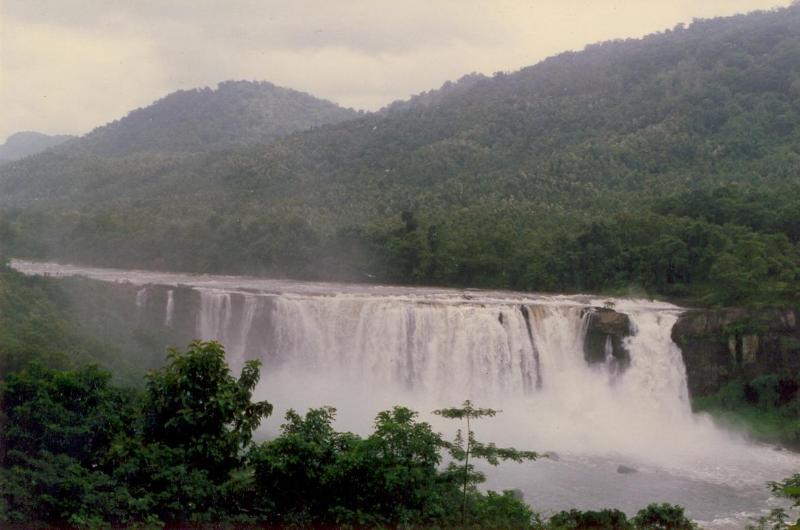 ReiszTravels's tweet photo. KERALA,ATHIRAPALLY FORES#MY#OSSUM#BLOOSM#INDIA https://t.co/YanTBlPLVs