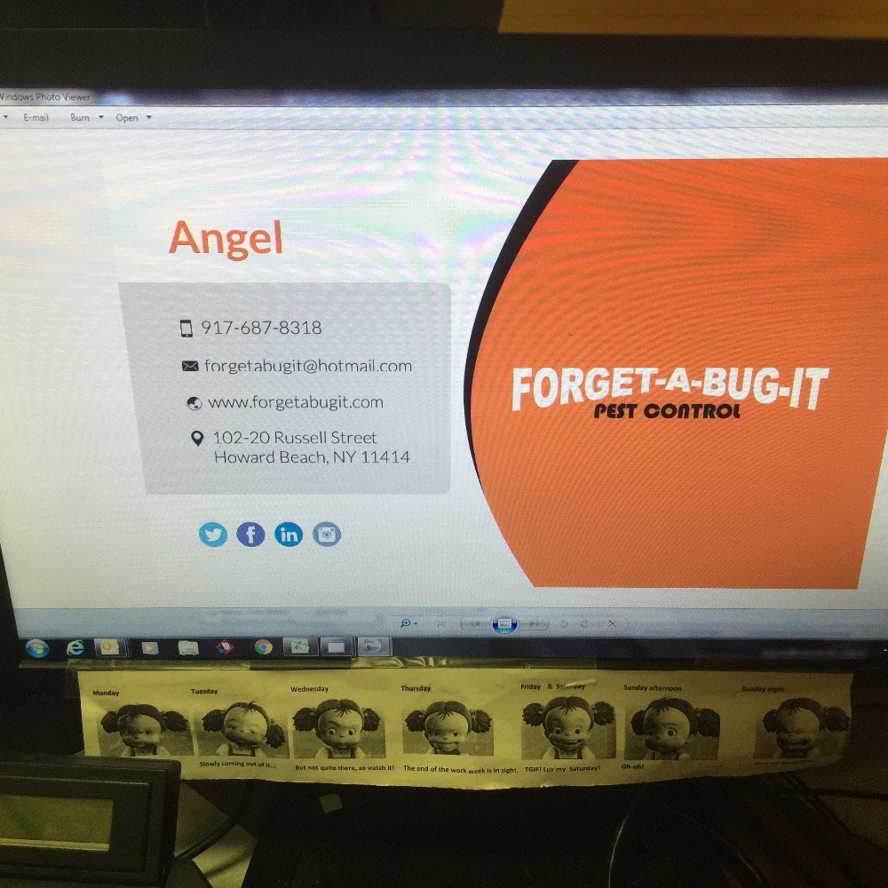 ForgetaBugit's tweet image. 