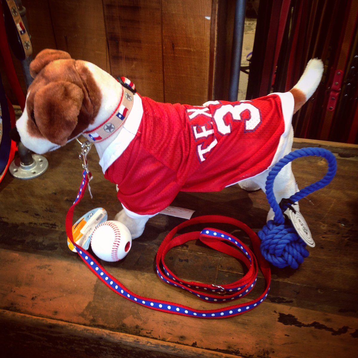 texas rangers dog jersey