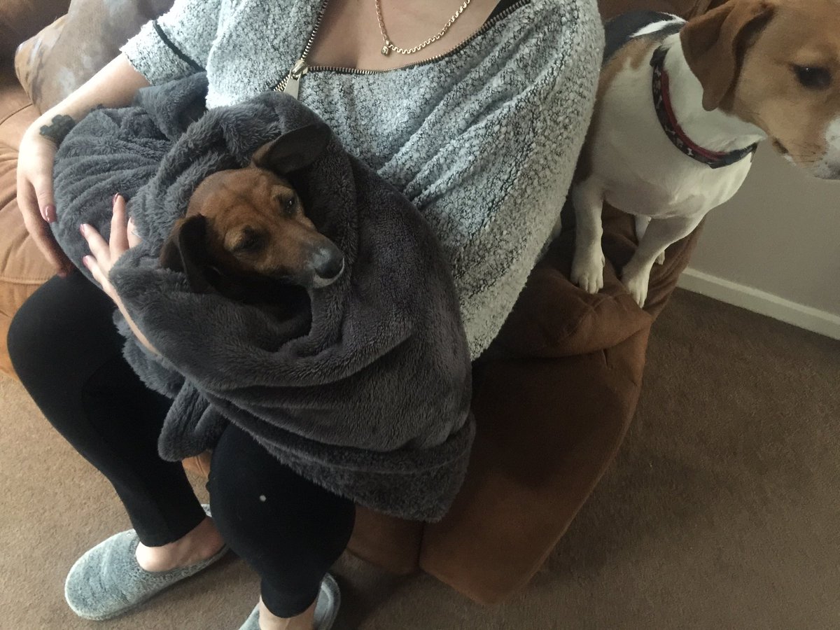 MrsManpoo's tweet photo. Poorly baby is home @chrislivesey3 https://t.co/oY1jxXO5FN