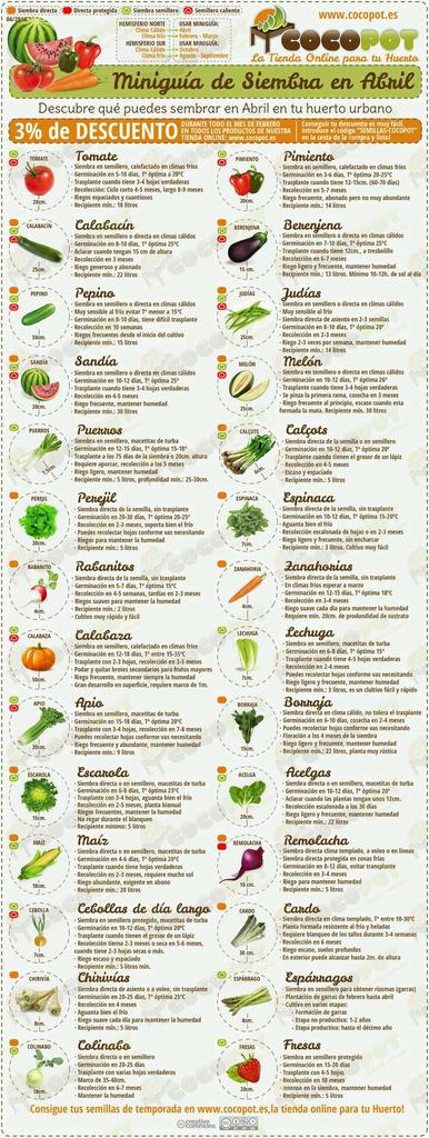 ☭ SURCO ☭ tweet media