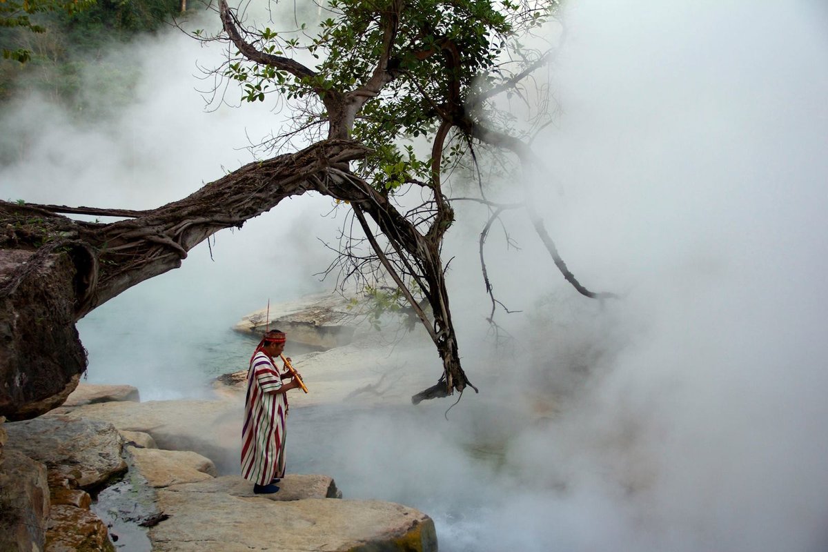NatGeoMagNL's tweet photo. De kokende rivier van het #Peruaanse #Amazonegebied: https://t.co/XectbeQUQp #TheBoilingRiver https://t.co/SbM9tnxevc