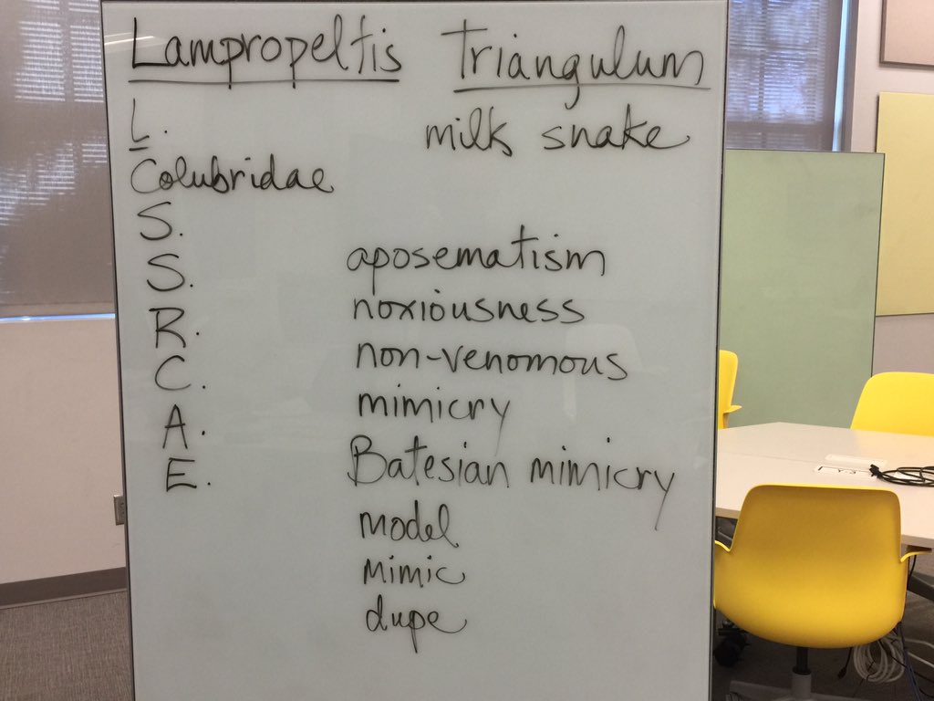 OrgOfTheDay's tweet image. 