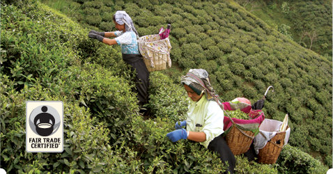 HighGroundCafe's tweet photo. Numi Organic Tea,
Preserving earth's resources.
Protects the health of farmers.
Oh, and it tastes good too. https://t.co/0uDc8Lb748