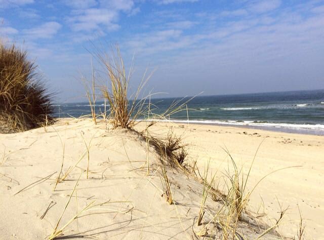 Blueyesmusic's tweet photo. #secondhome #renesse #beach #Netherlands #sun https://t.co/wEyHIttetp
