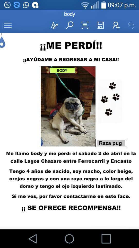 JosFco10's tweet photo. Esto sucedió en Xalapa https://t.co/VKJkBX2bBM