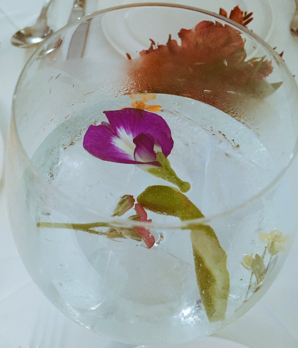 Ilooovedesign's tweet image. Gin and tonic #elderflower
