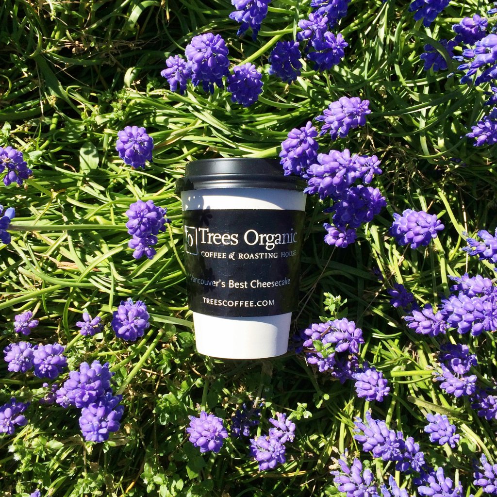 TreesOrganic's tweet image. Feeling lucky to be surrounding by beautiful #springflowers and sunshine these days! #Vancouverspring #hyacinth