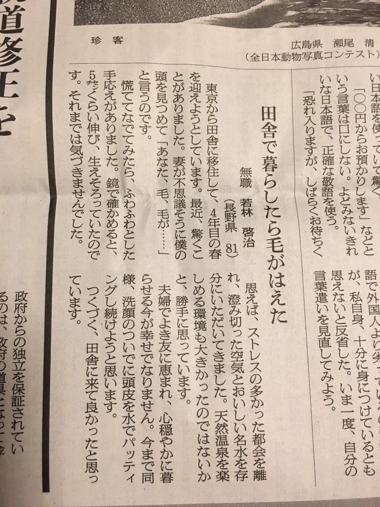 【朗報】薄毛が気になる人必見！簡単に毛が生えてくる方法とは
