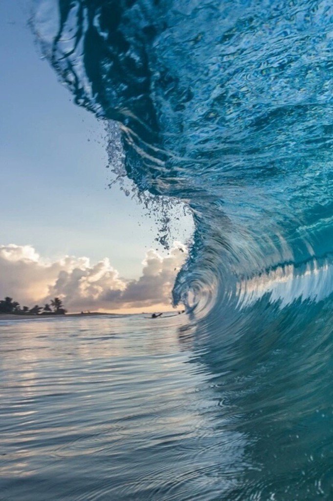 Sasha Bukov tweet media