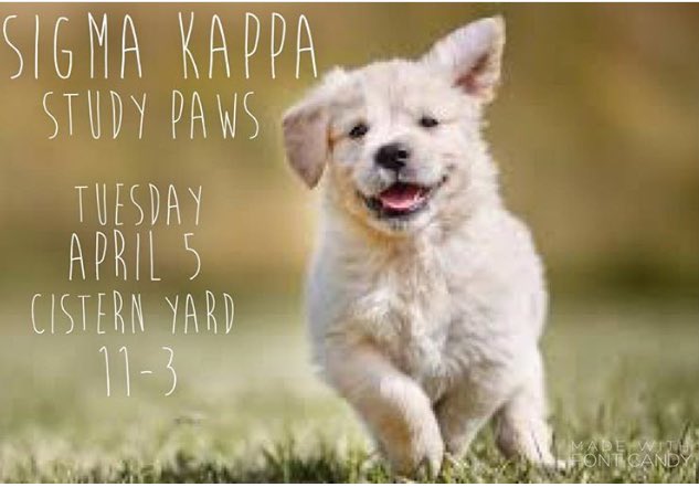 CofC Sigma Kappa (@cofcsigmakappa) on Twitter photo 