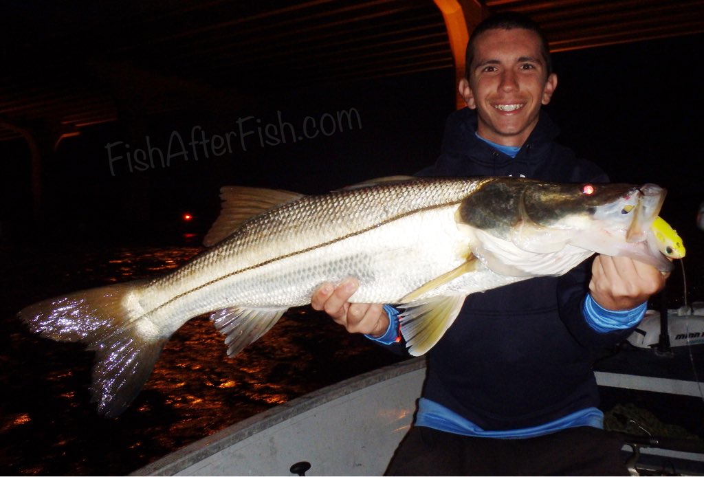 TCoastTackle's tweet photo. Got out EARLY yesterday to get on some #stud #snook!
#fishing #spooltek #spooltekdidntdeploy #fishafterfish https://t.co/fZRn3mEOTI