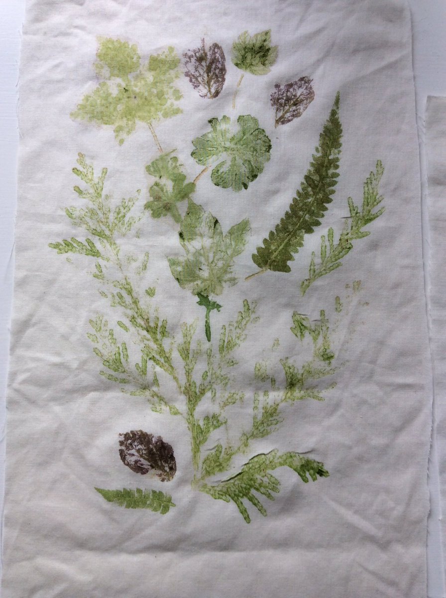 PictonSherborne's tweet image. Made these Hapla zome prints today with leaves from #Thorncombe Wood #Dorset. #BotanicMonday