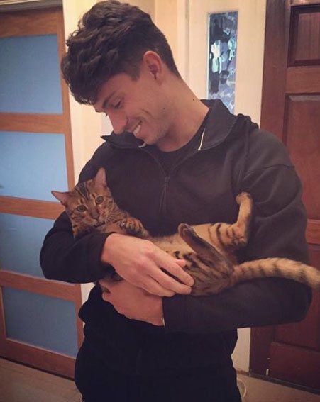 JoeyEssex_'s tweet photo. I will miss you forever my beautiful little cat Prince ❤️ R.I.P ❤️ love you always x https://t.co/FIy4tyaE53