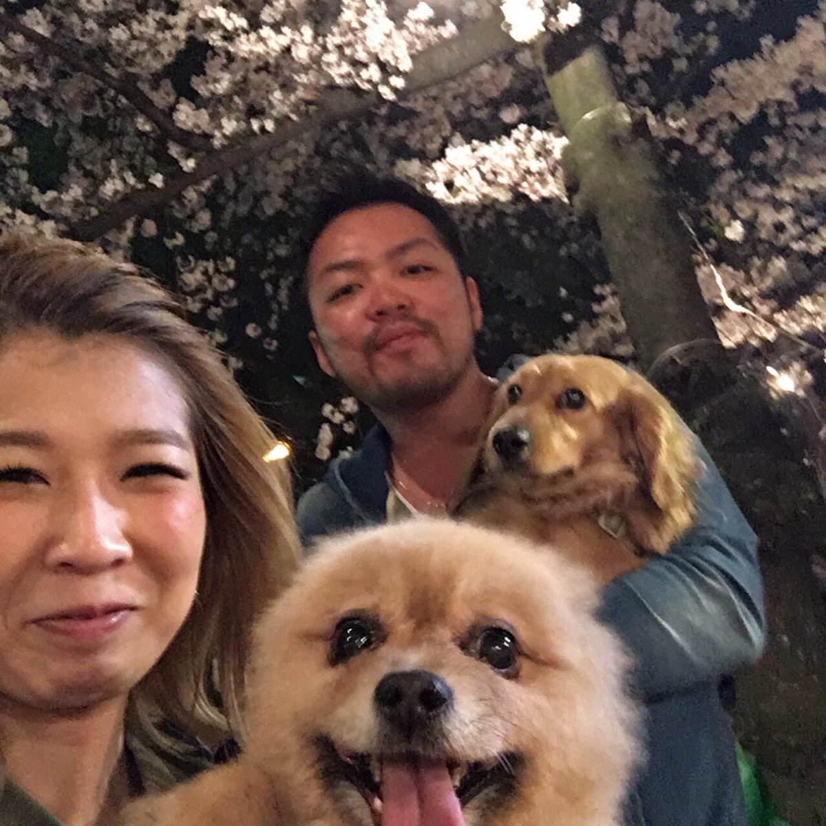 shinya_gravity's tweet photo. 花見〜(^_^) https://t.co/5QCUenYXdZ
