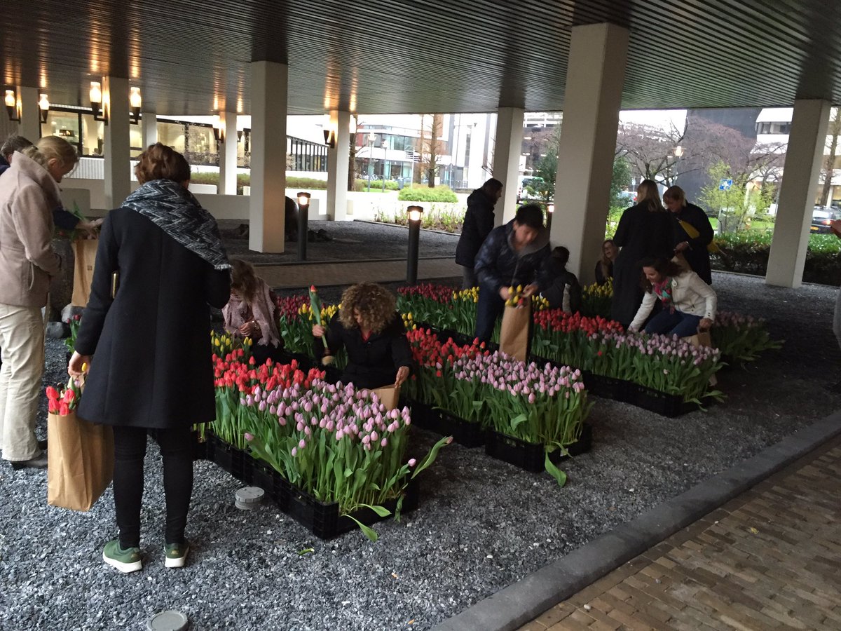 Linda vd Slot - FAM Flower Farm tweet media
