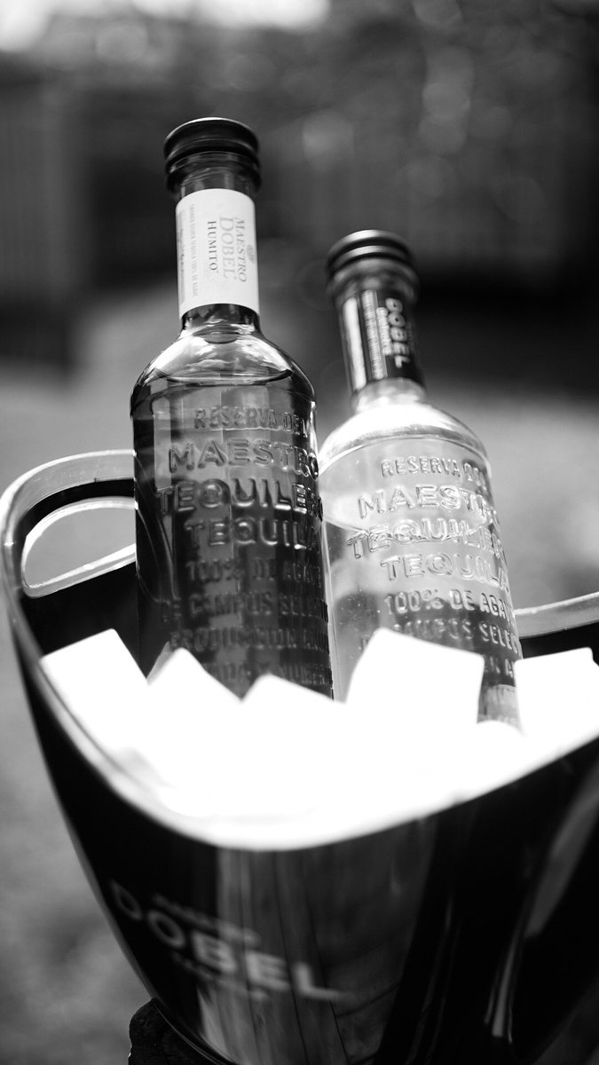 dobeltequila's tweet photo. Let's just chill today

#MaestroDobel #Humito #Rulebreaker https://t.co/pUabQpftJr