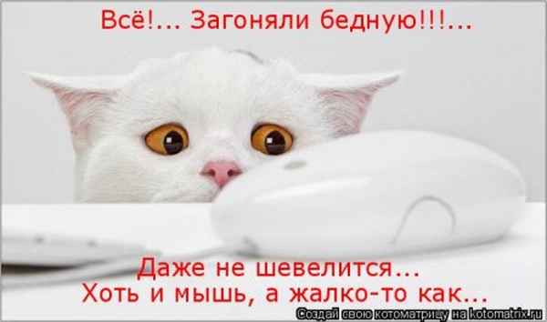 Ищу людей для высокооплачиваемой работы,подходит студентам,молодым мамам,людям со свободным графиком,вопросы в личку