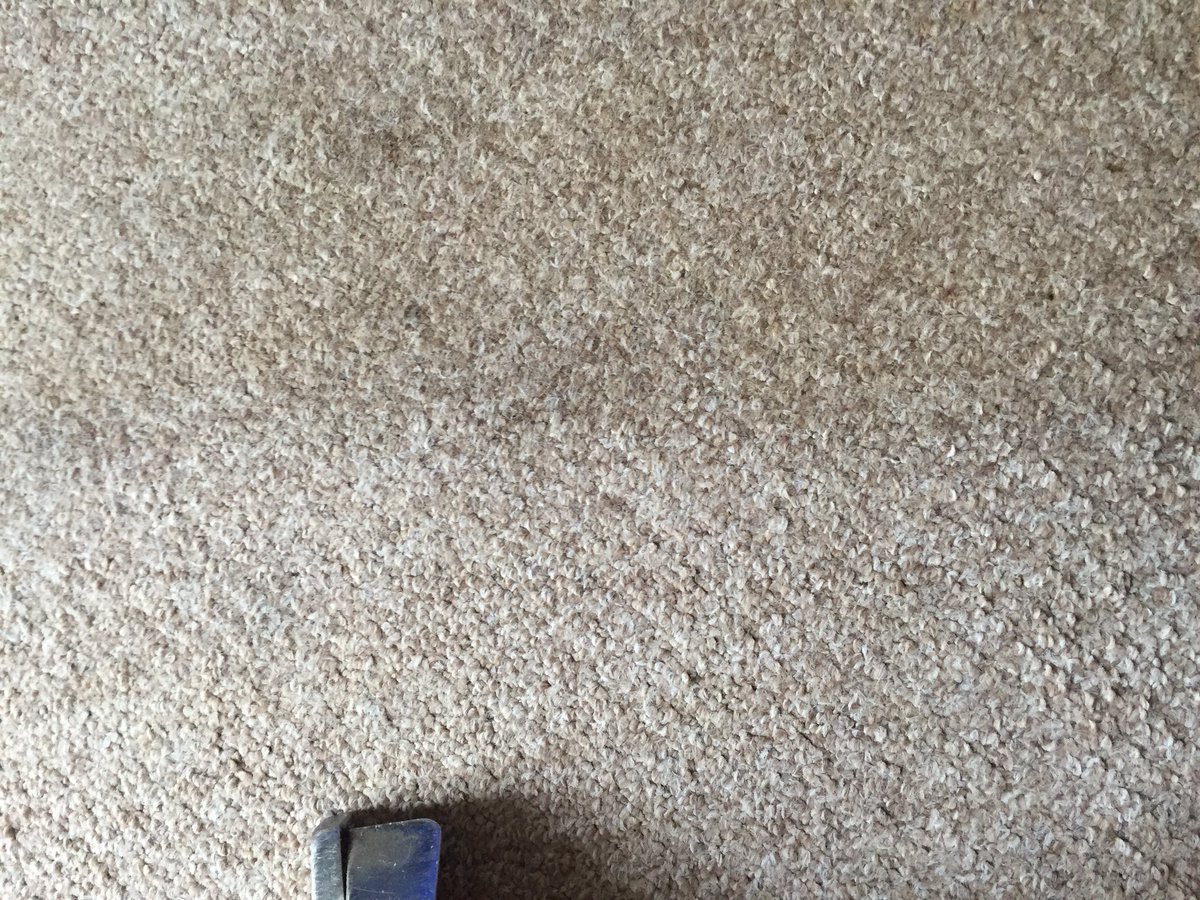 AA Carpet Cleaning (AA_CarpetClean) Twitter