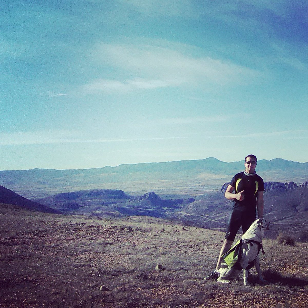 archiayala's tweet photo. #Running in the #Desert #SpeddyGonzales #YepaYepa https://t.co/1j4EZ7pqTw