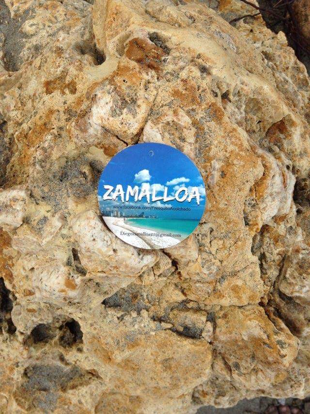 DiegoAnci's tweet photo. #zamalloa camisas hawaianas https://t.co/o9nWKO8dGf