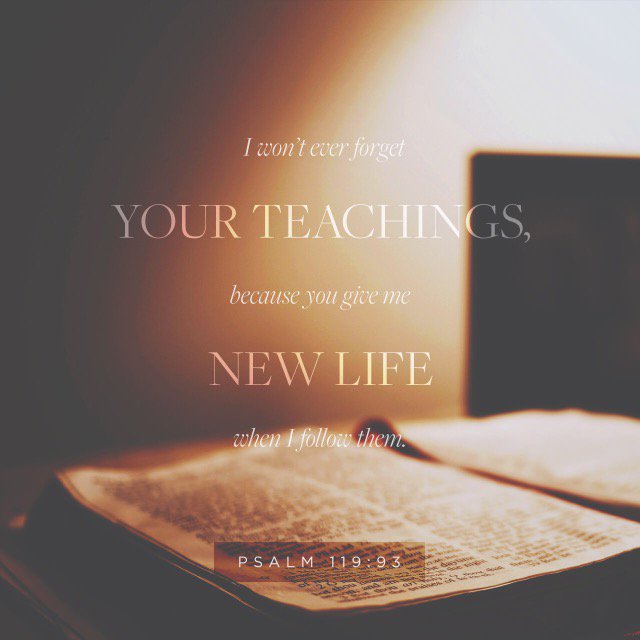 BillyBrown09's tweet photo. God's truth breathes life into us! https://t.co/qMZL6fLpS5 https://t.co/7MuMpUdyDu